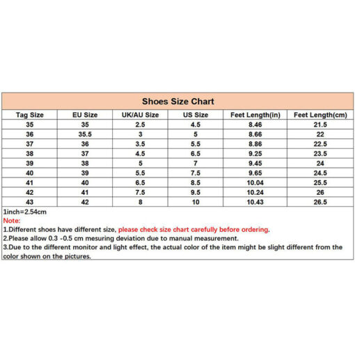 International shoe size conversion chart with measurement notes.