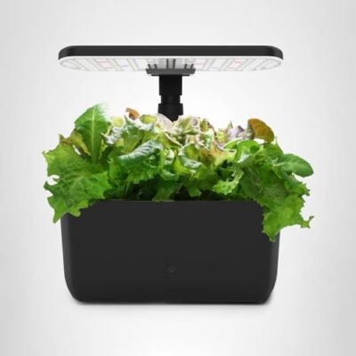 Hydroponic indoor garden with LED light.