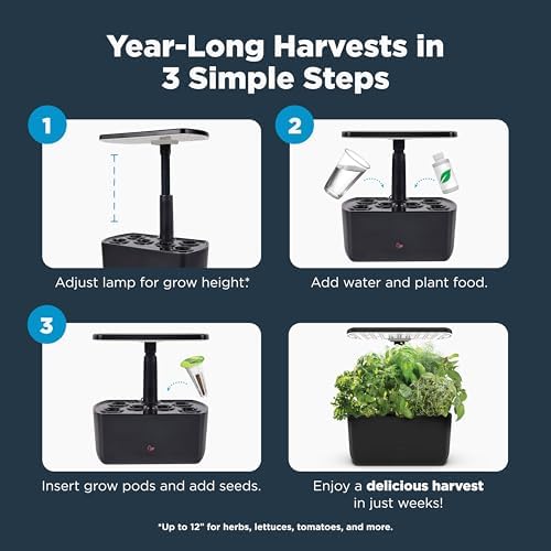 Year-round harvest in three simple steps.