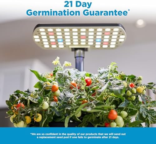 Hydroponic garden with grow light and tomatoes.