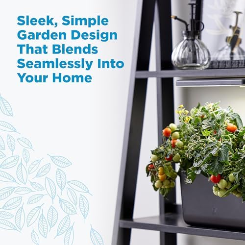 AeroGarden Harvest Lite in Black, Soil-Free Indoor Hydroponic Garden with LED Grow Light for Year-Round Gardening of up to 6 Herbs and Vegetables : Patio, Lawn & Garden - Image 3